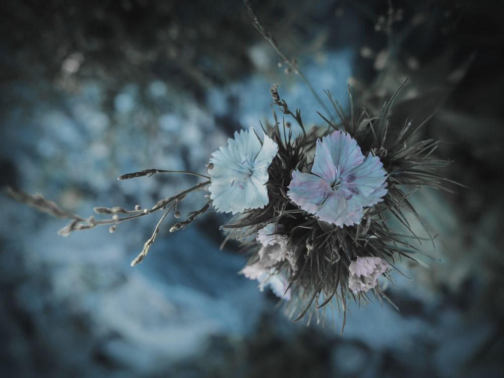 Photograph by Дмитрий Поварков