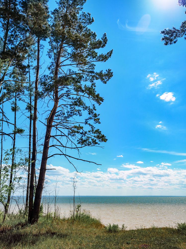 Photograph by Дмитрий Поварков