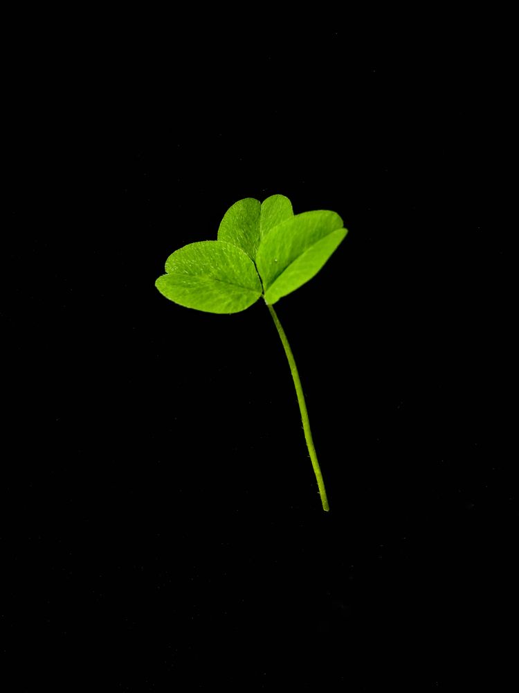 Photograph by Марина Танаева