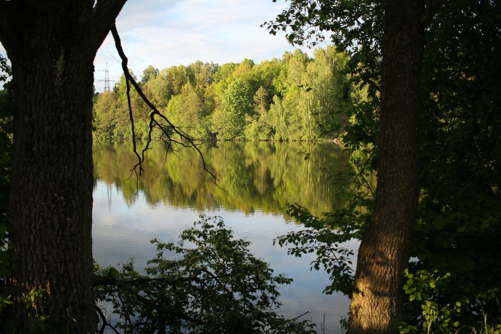 Photograph by Татьяна Даниленко