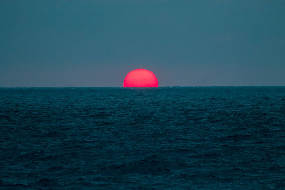 Фотография автора Muhammad Radi