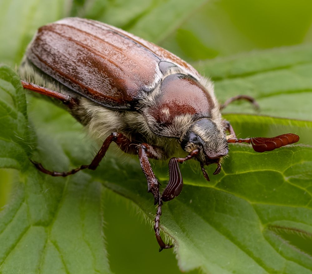 Photograph by Марина Новожилова