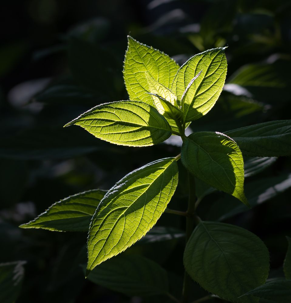 Photograph by Марина Новожилова