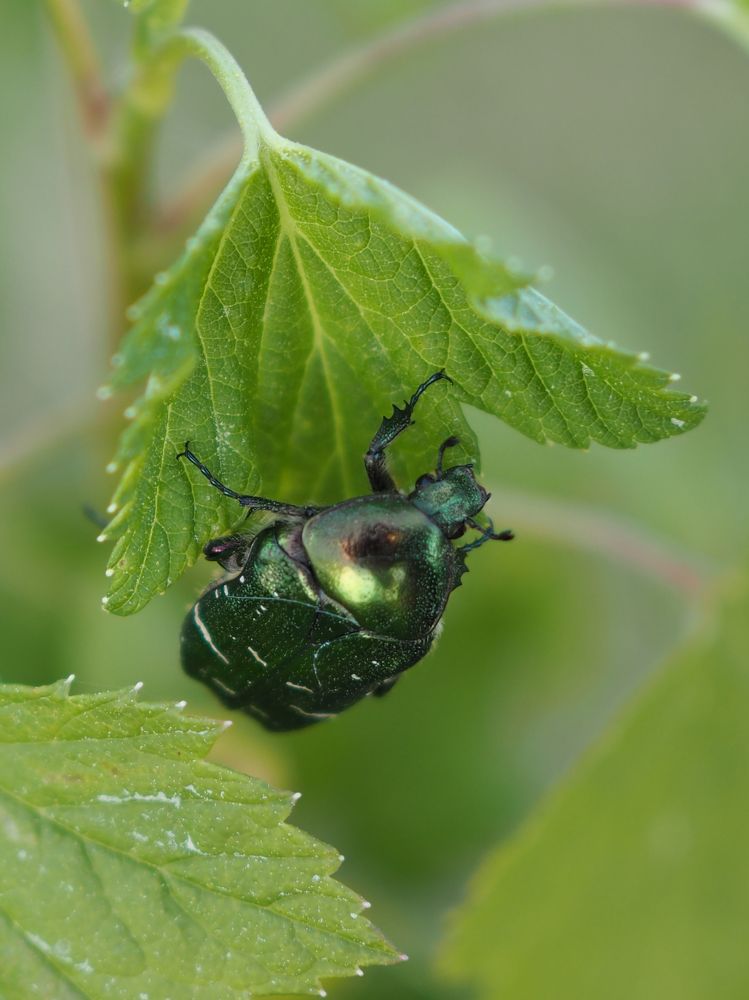 Photograph by Екатерина Бердутина