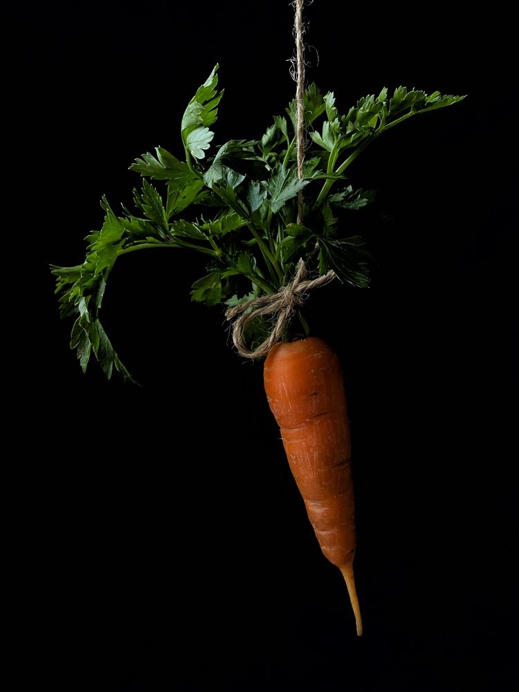 Photograph by Екатерина Бердутина