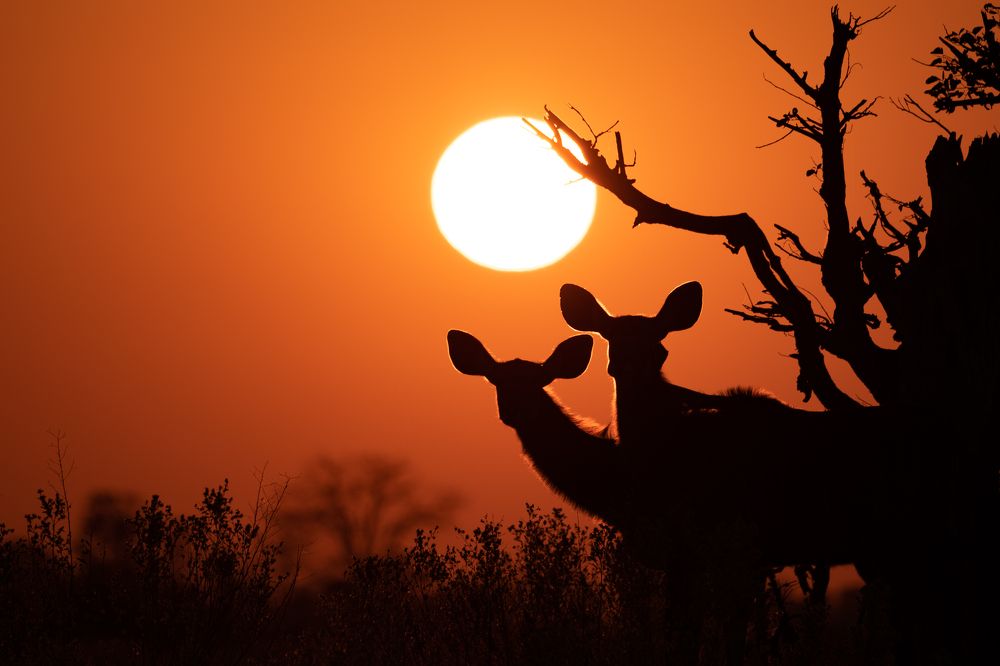 Photograph by Raquel Barao