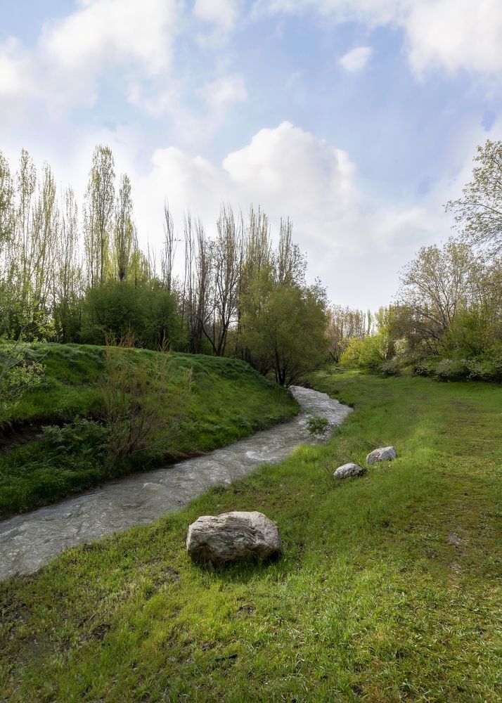 Photograph by masoud haghani