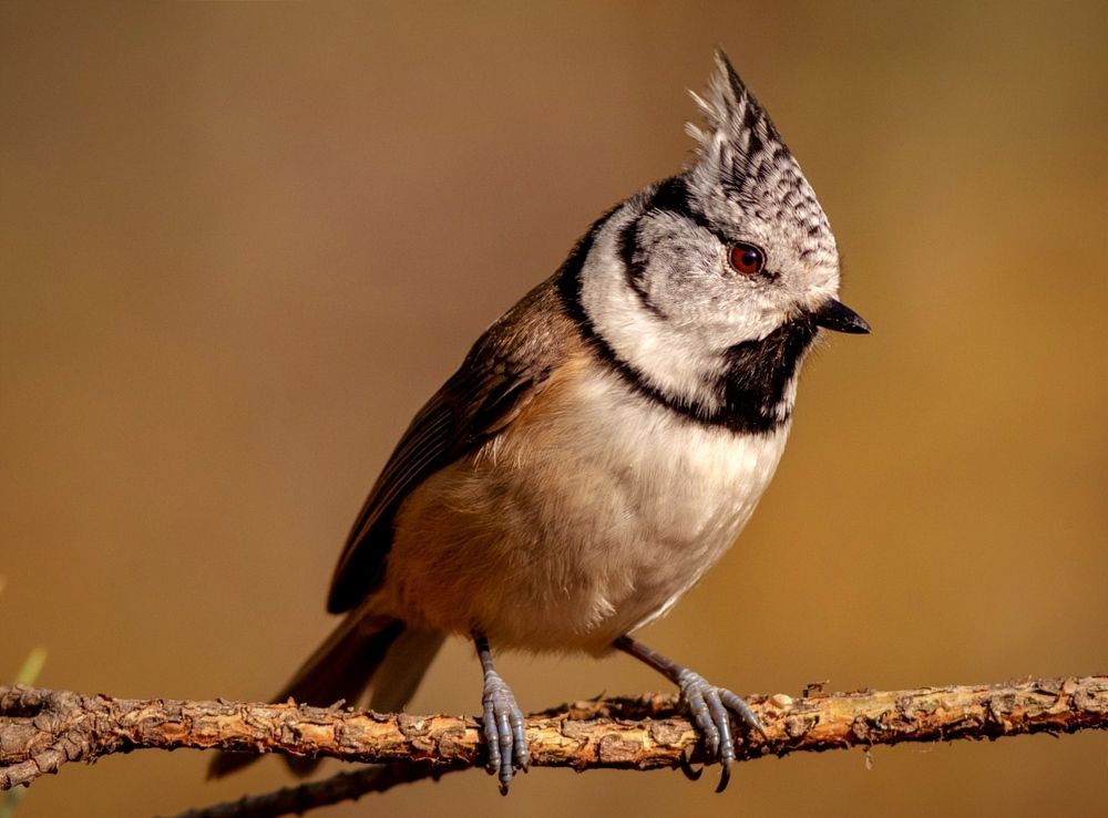 Photograph by Павел Краснослободцев