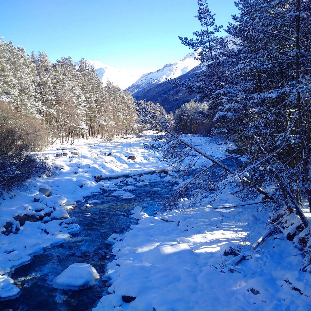 Photograph by Александр Тельнюк