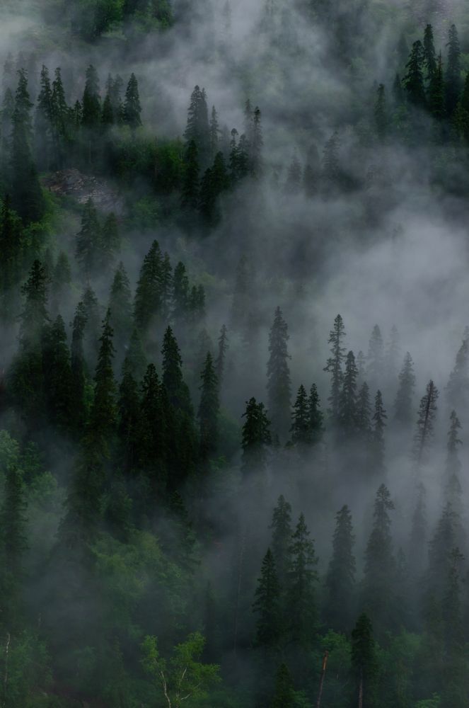 Photograph by ARANYA KAR