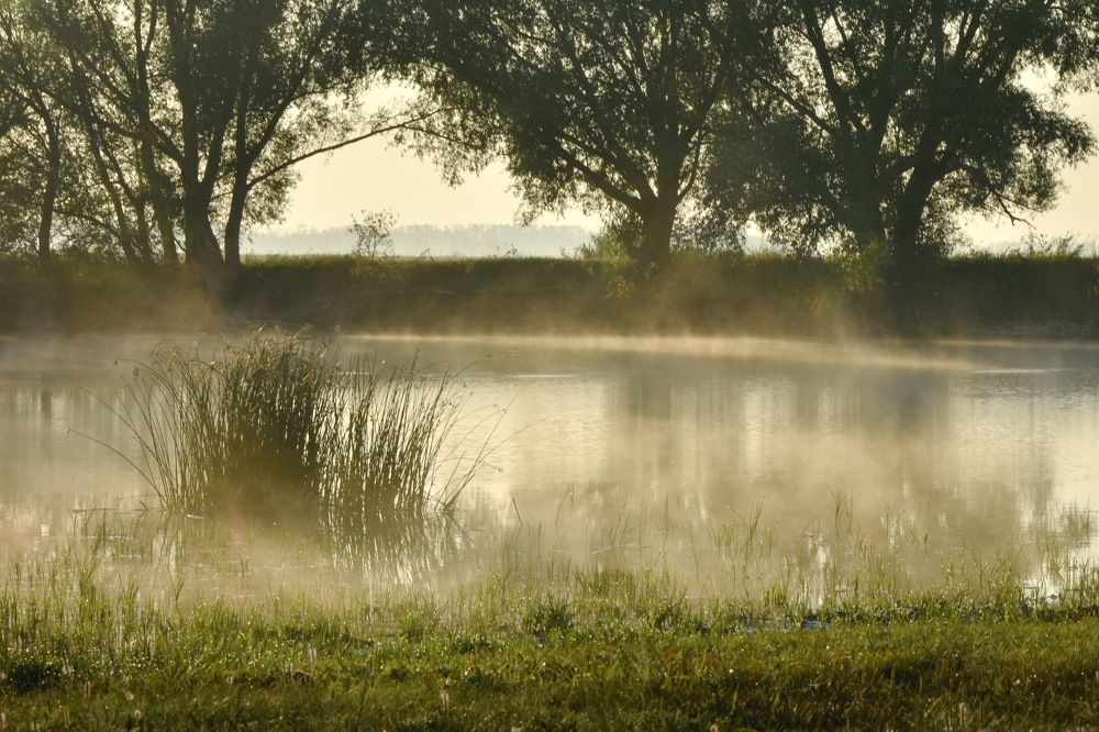 Photograph by Наталия Брянцева