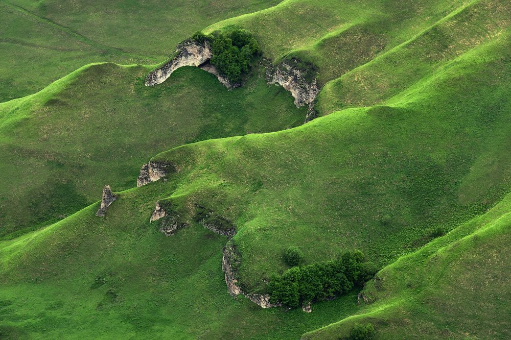 Photograph by Политова Анна