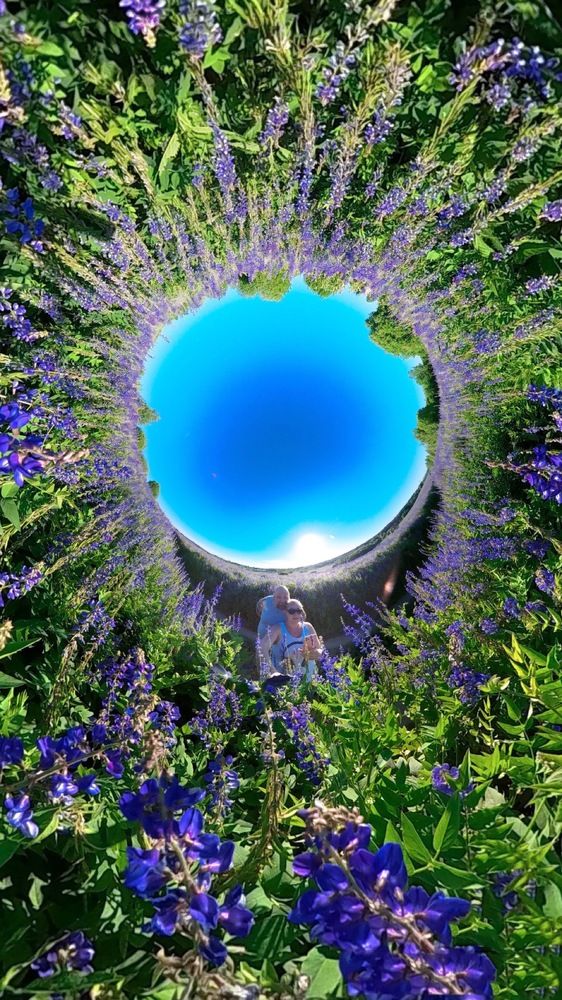 Photograph by Наталья Антипас