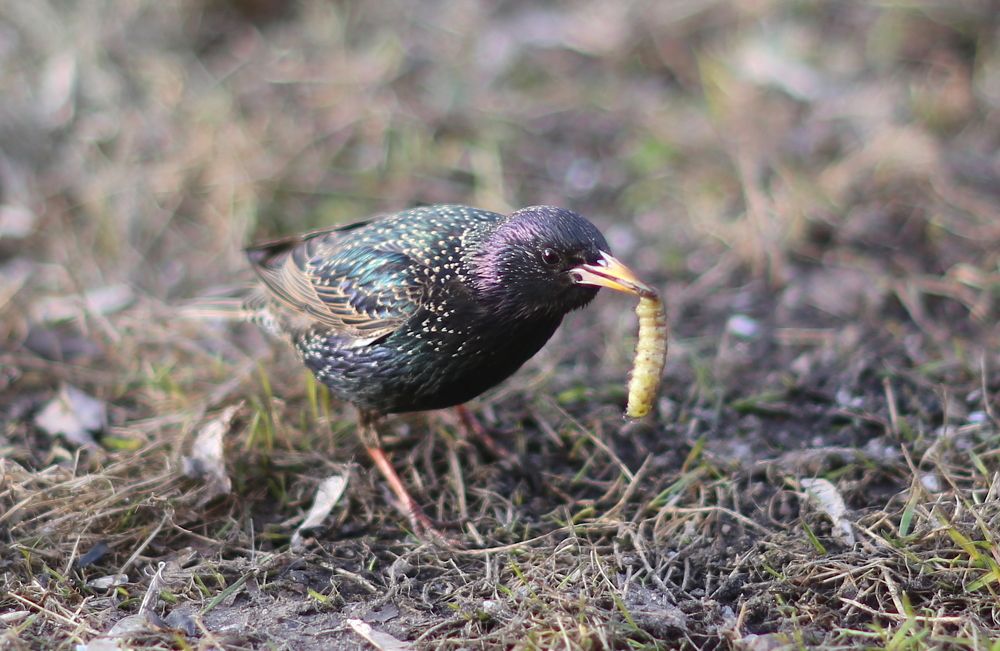 Photograph by Юлия Зеляник