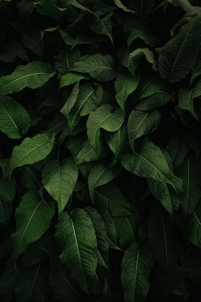 Photograph by Сергей Антонов