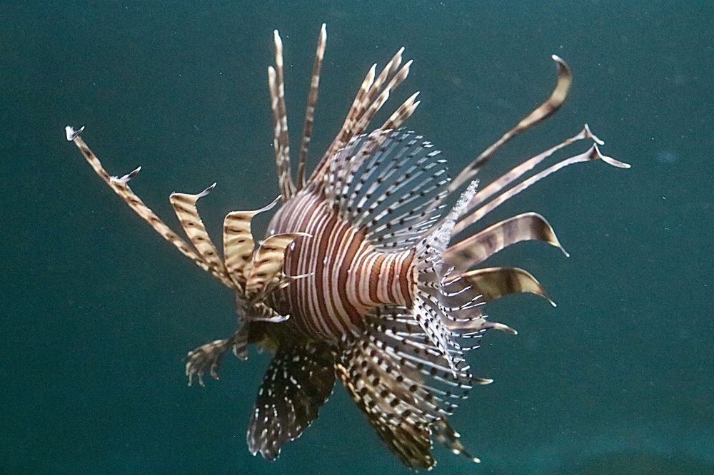 Photograph by Елена Ковалева