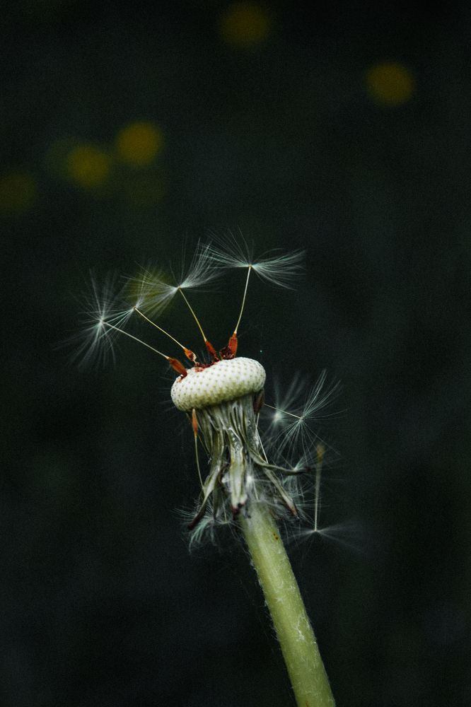 Photograph by Сергей Антонов