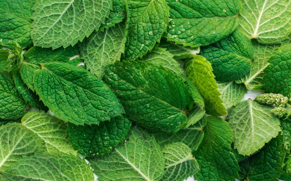 Photograph by Мария Купревич