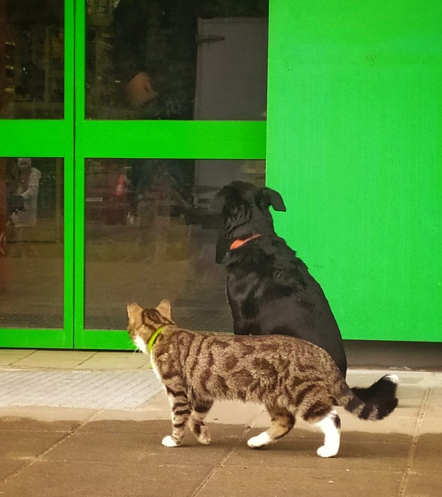 Photograph by Любовь Сухова