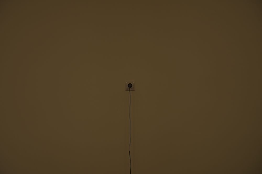 Photograph by Приходько Дмитрий