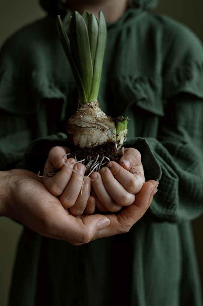 Photograph by Ольга Горбунова