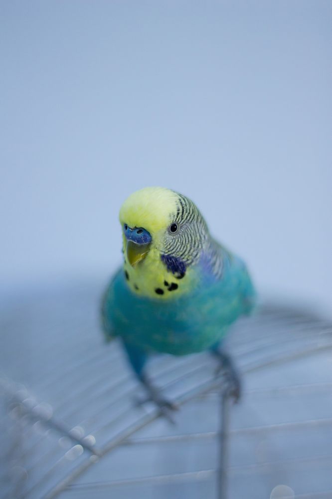 Photograph by Жорнова Светлана