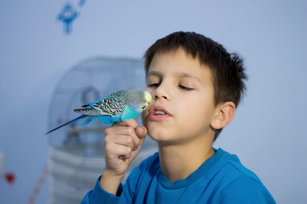 Photograph by Жорнова Светлана