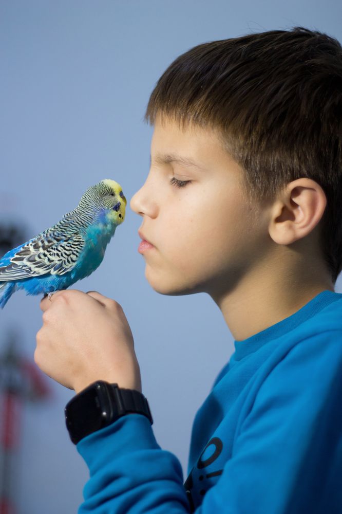 Photograph by Жорнова Светлана