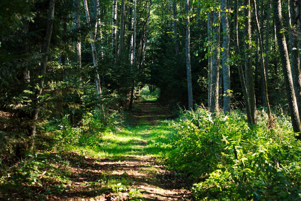 Photograph by Жорнова Светлана