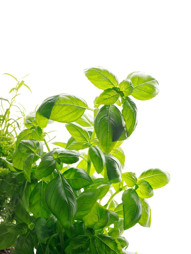 Photograph by Жорнова Светлана