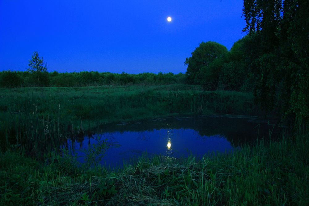 Photograph by Александр Тельнюк