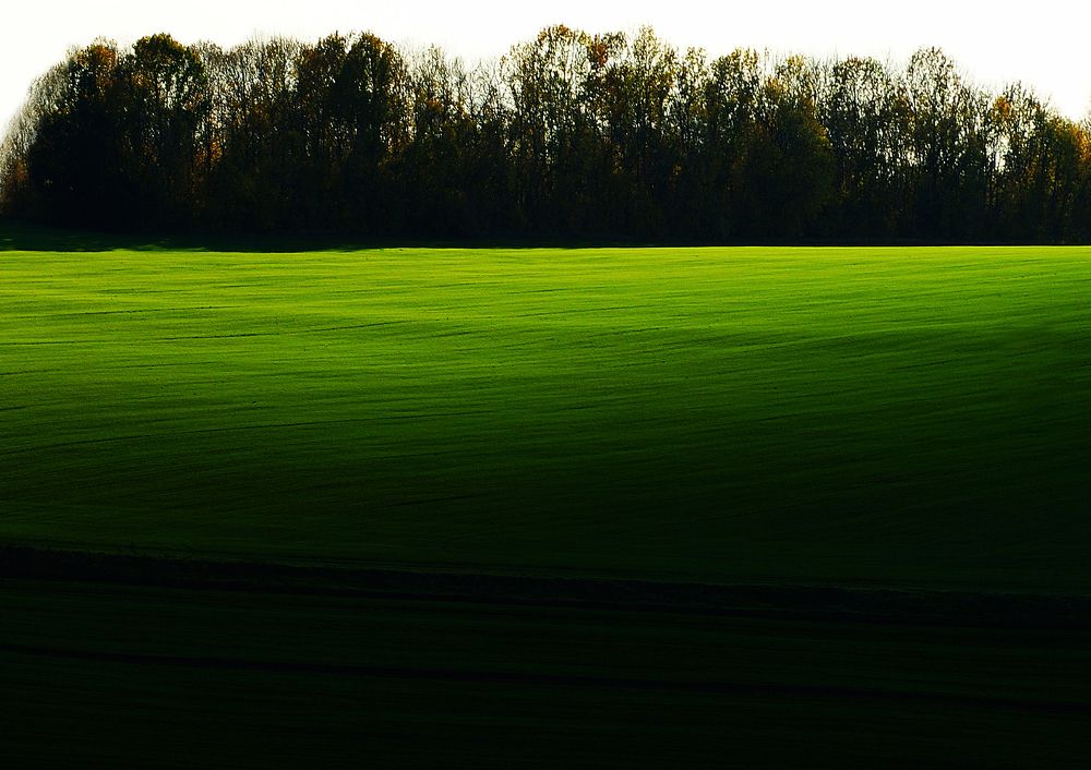 Photograph by Роман Рыжков