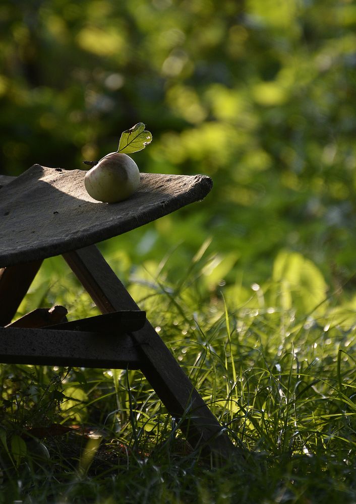 Photograph by Роман Рыжков