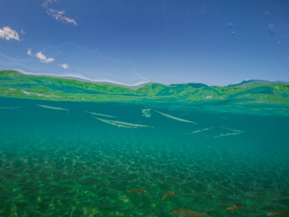 Photograph by Игорь Кара-Ушанов