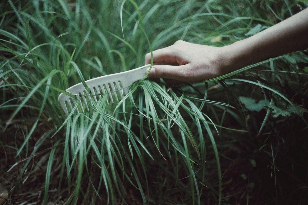 Photograph by Софья Никулина