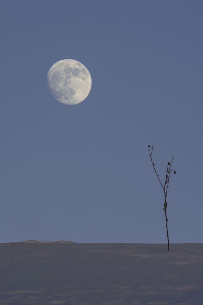 Photograph by Роман Рыжков