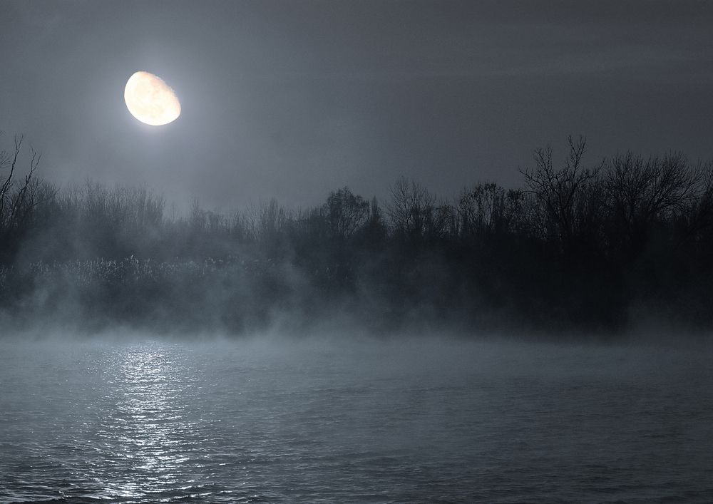 Photograph by Роман Рыжков