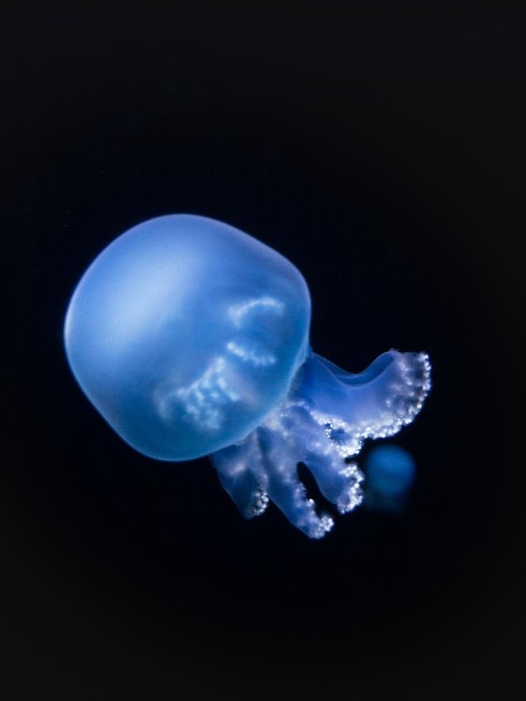 Photograph by Игорь Кара-Ушанов