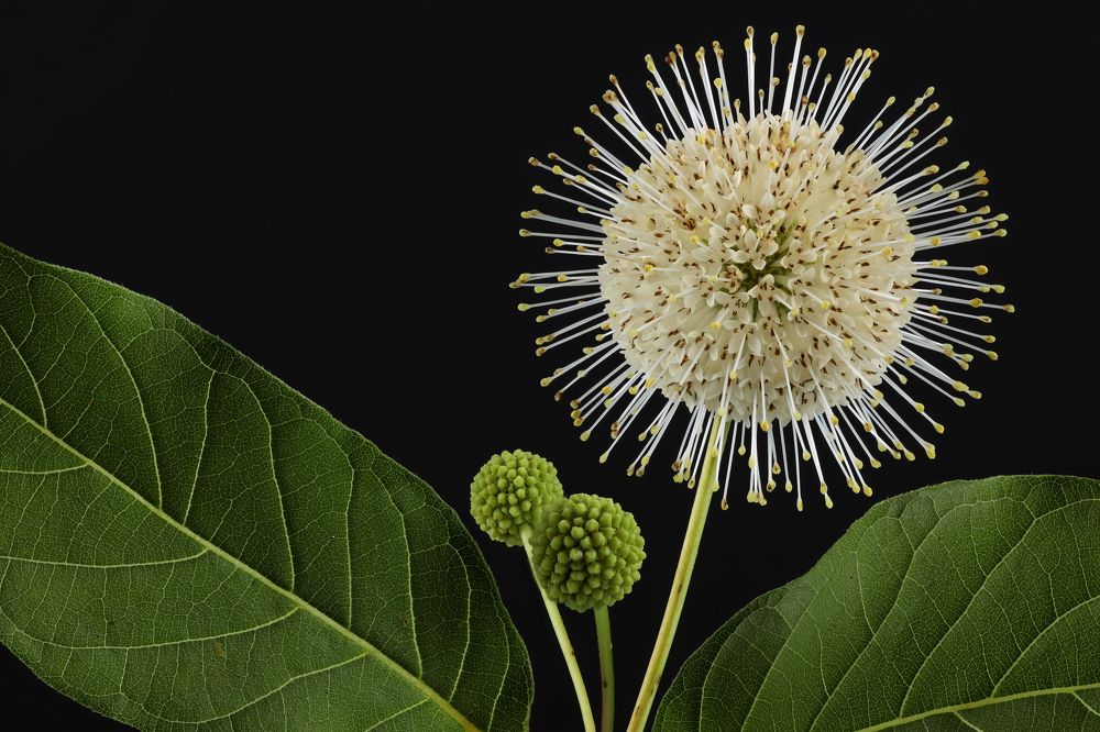 Photograph by Илья Пономарев