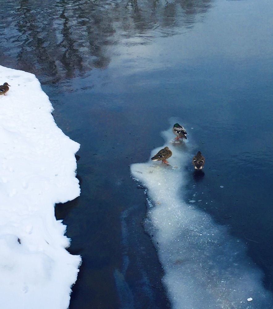 Начало весны