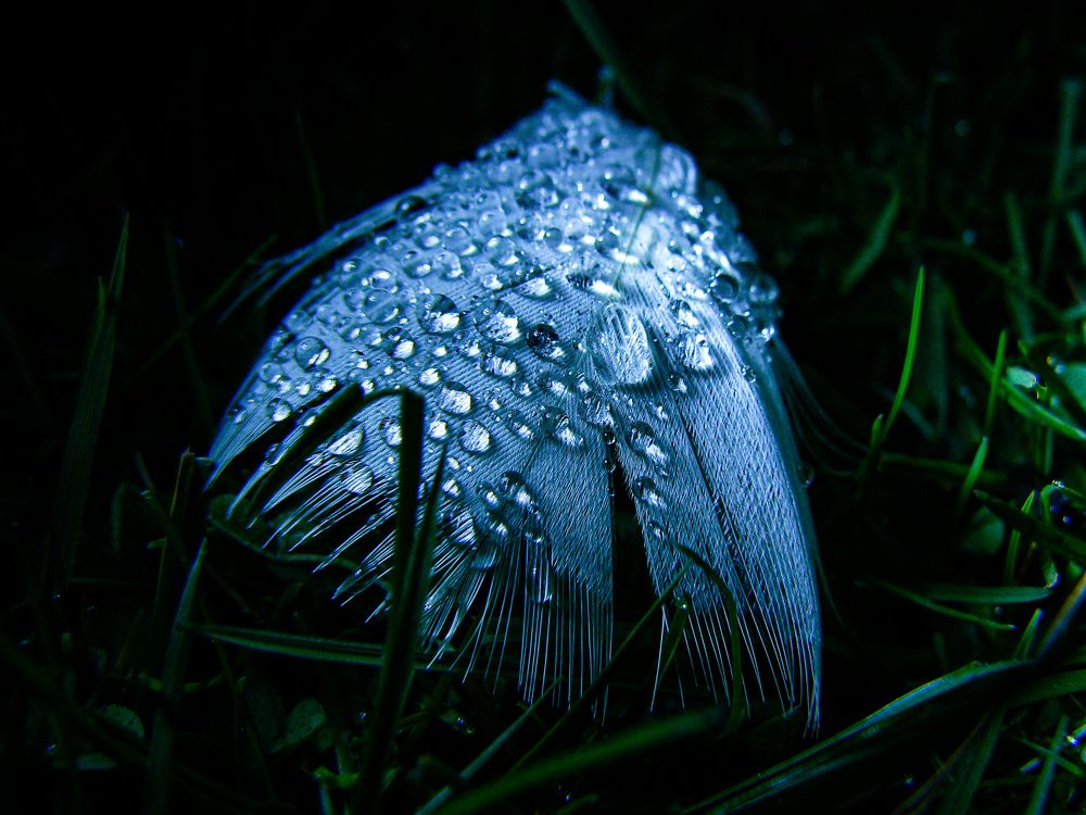 Photograph by Алексей Борисов