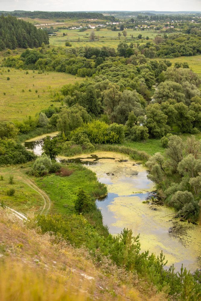 Photograph by Евгения Бочарова