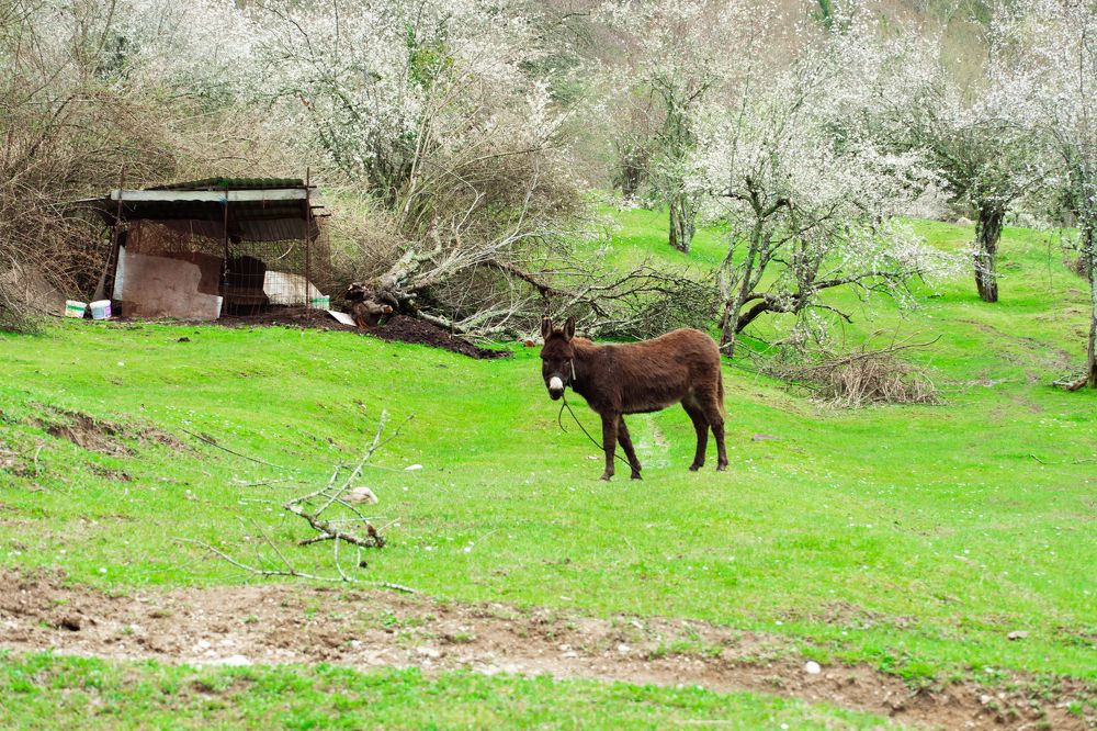 Photograph by Андрей