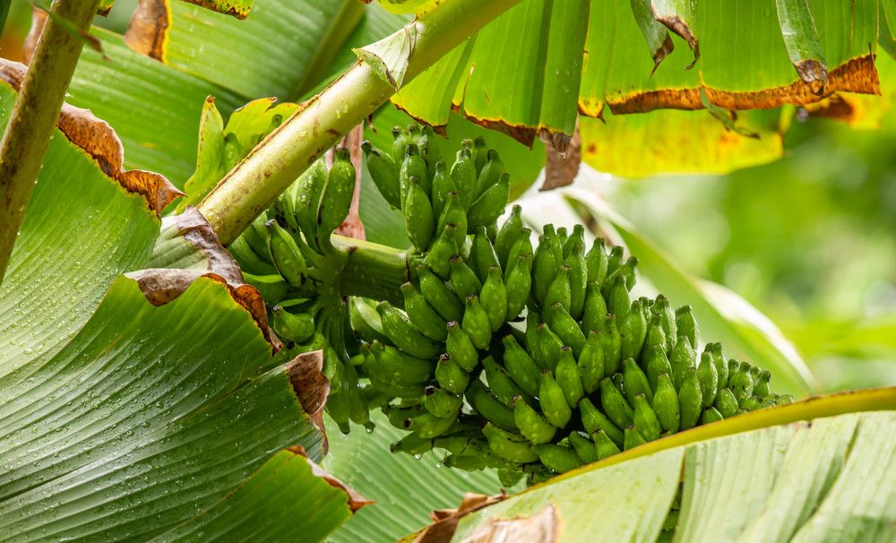 Photograph by Евгения Бочарова