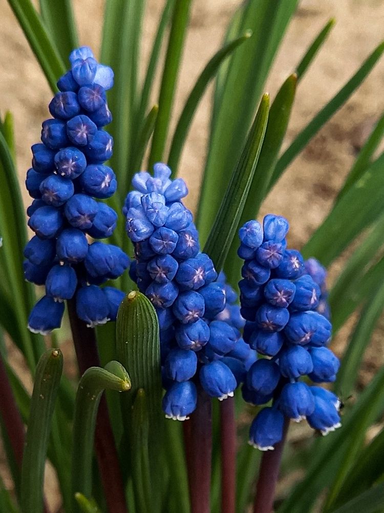 Photograph by Svetlana Yurasova