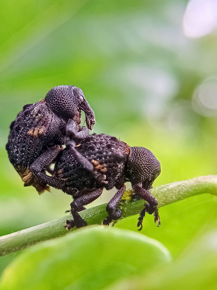 Photograph by Shubhadip Das