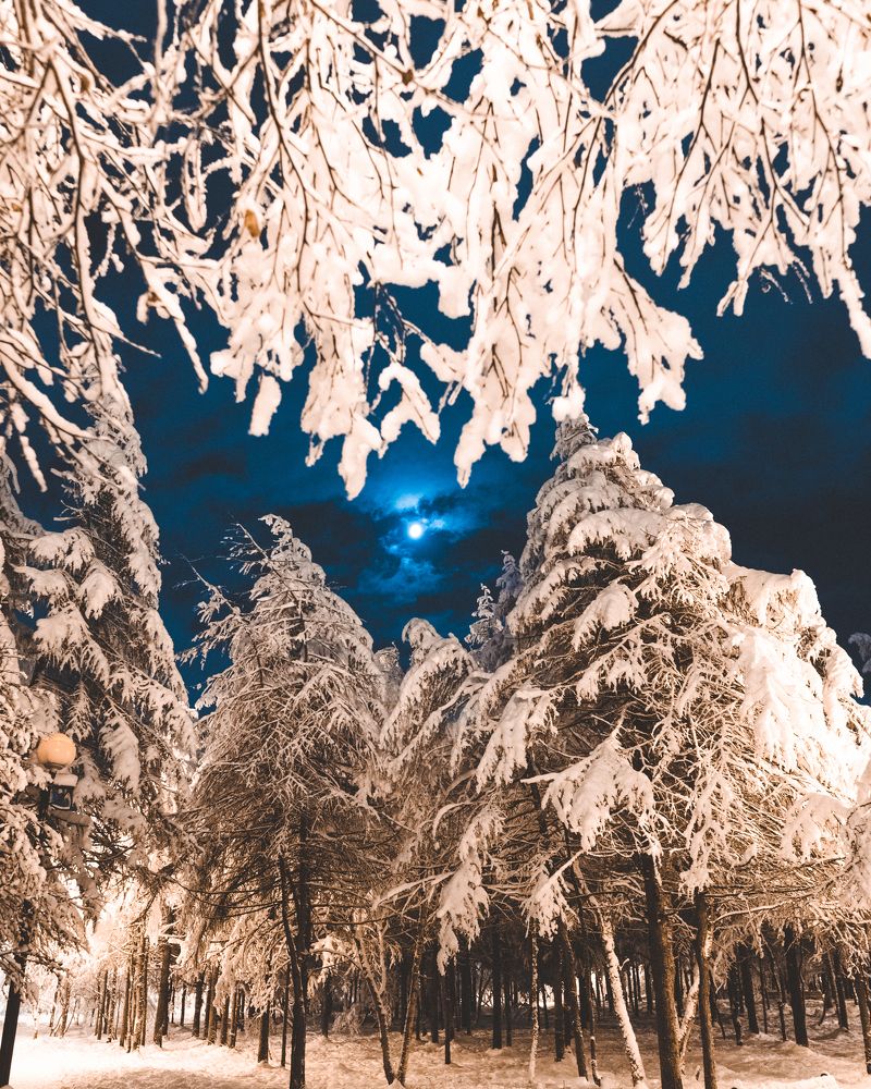 Photograph by Андрей