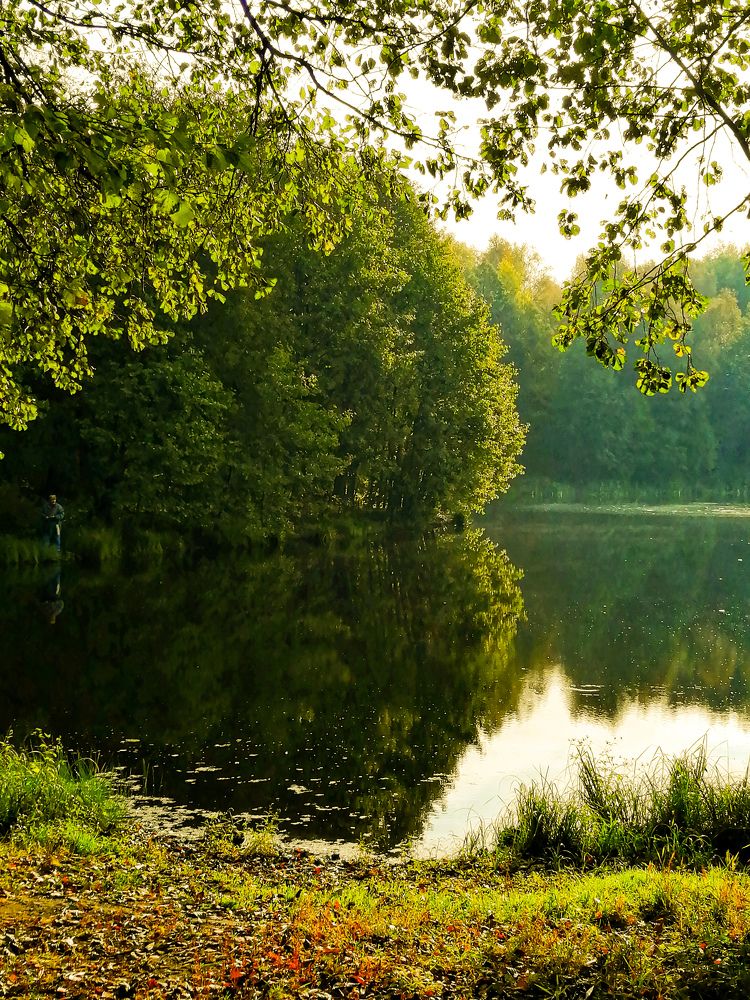 Photograph by Любовь Сухова