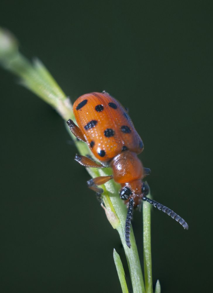 Photograph by Андрей Мольков
