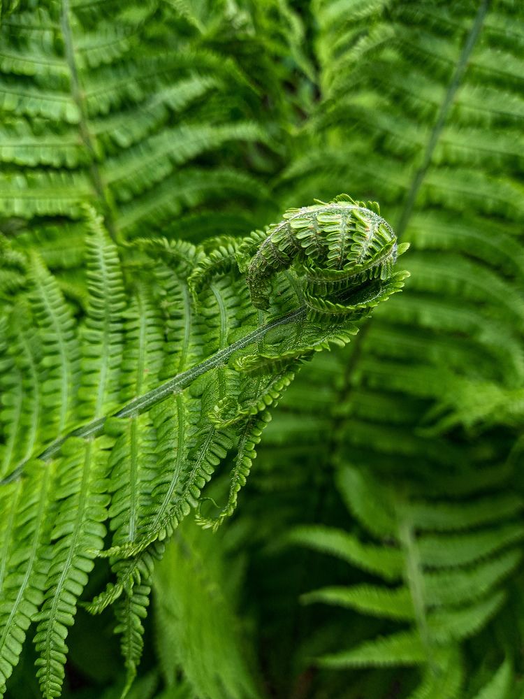 Photograph by Svetlana Yurasova